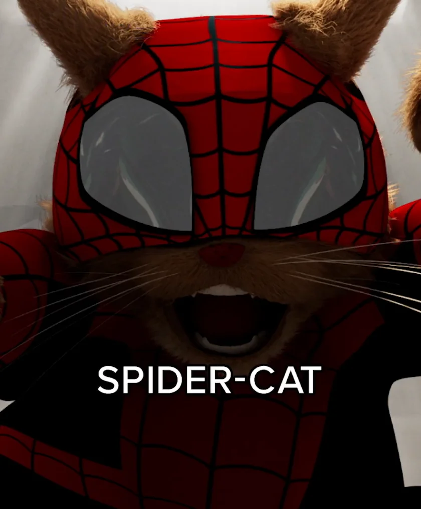 Spider-Cat