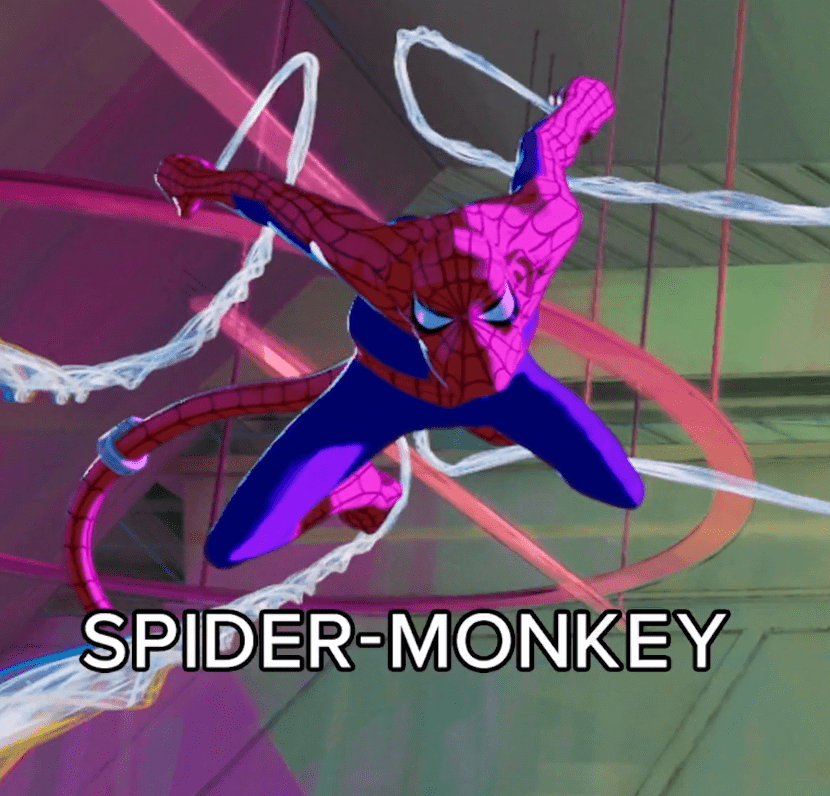 Spider-Monkey