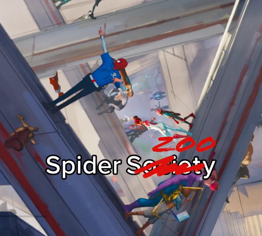 Spider-Zoo