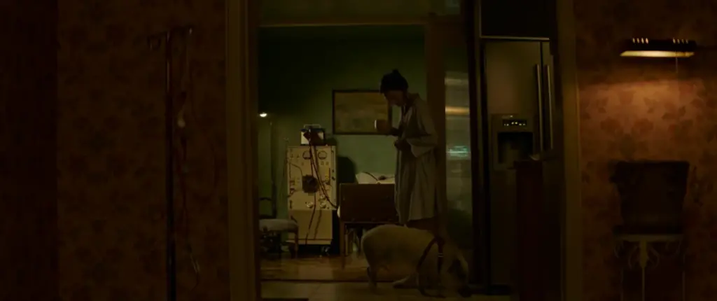 Birth/Rebirth (2023)