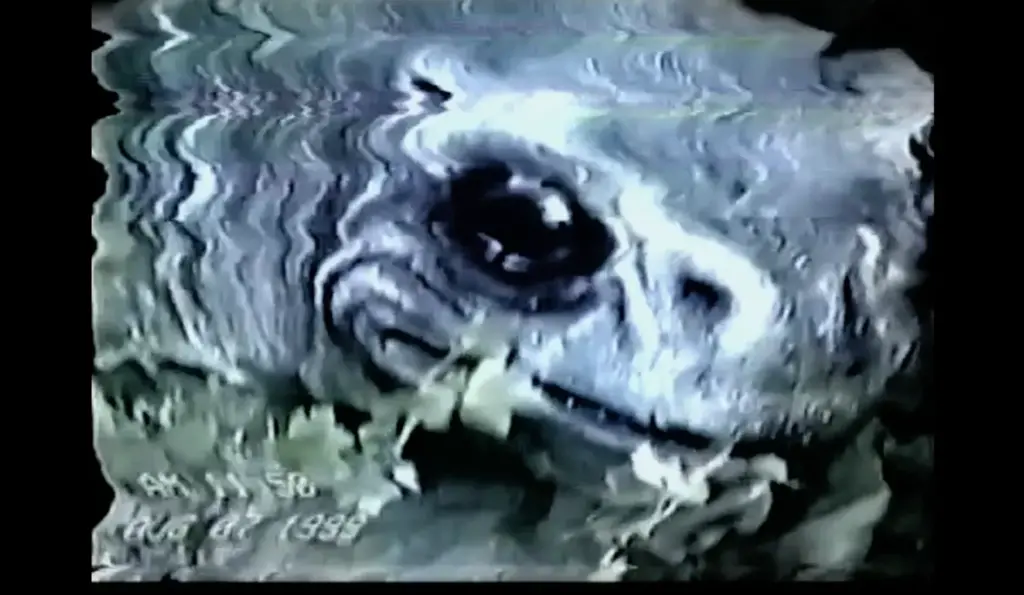 Frogman movie