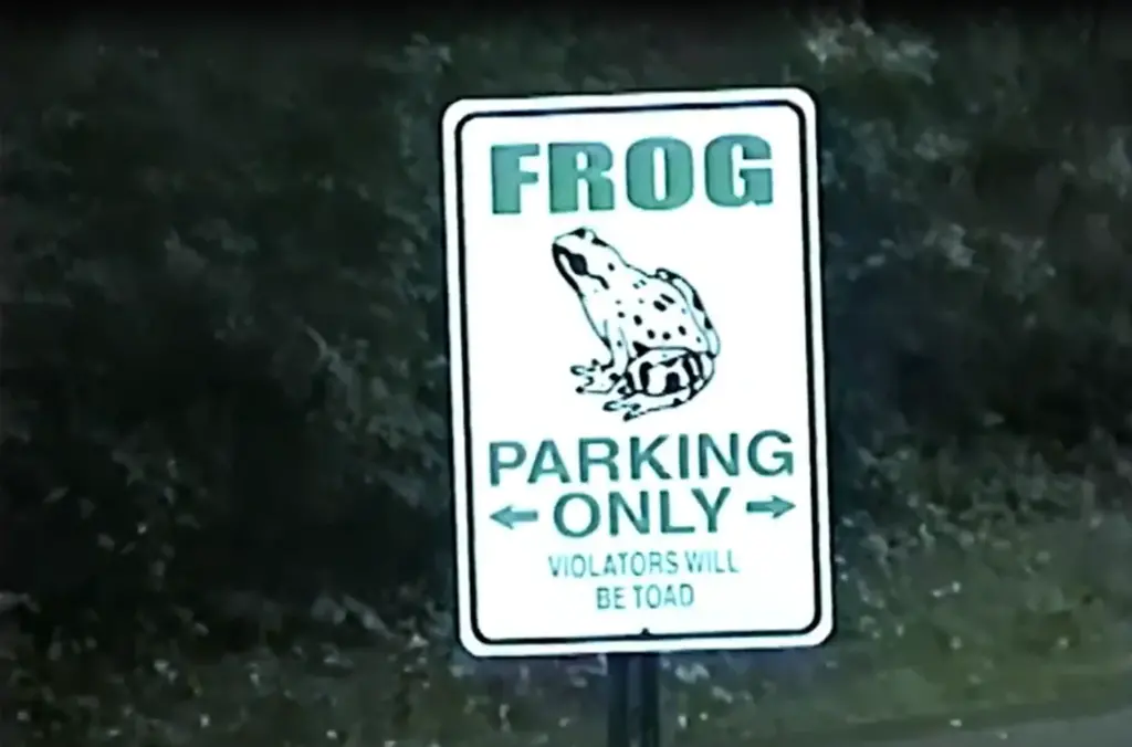 Reseña de Frogman