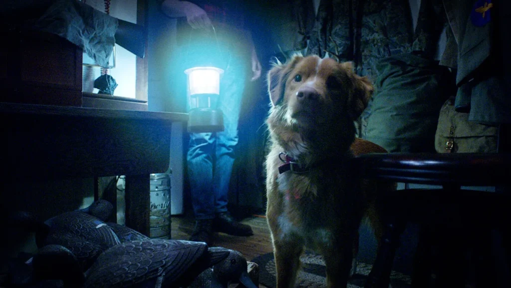 Reseña de Good Boy (2025)